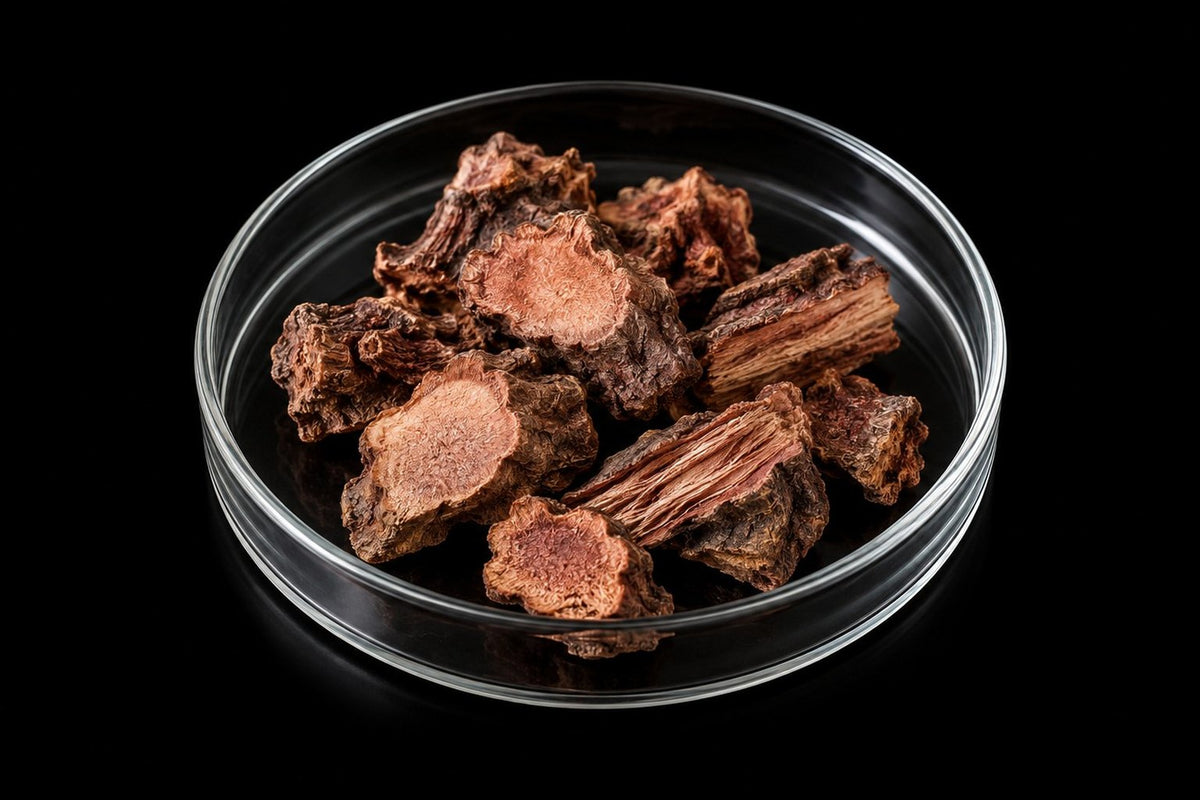 Extracto de Rhodiola rosea