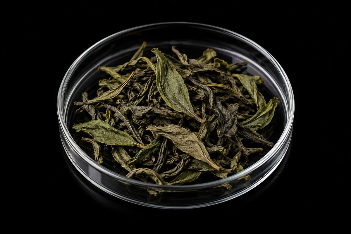 Extracto de té verde